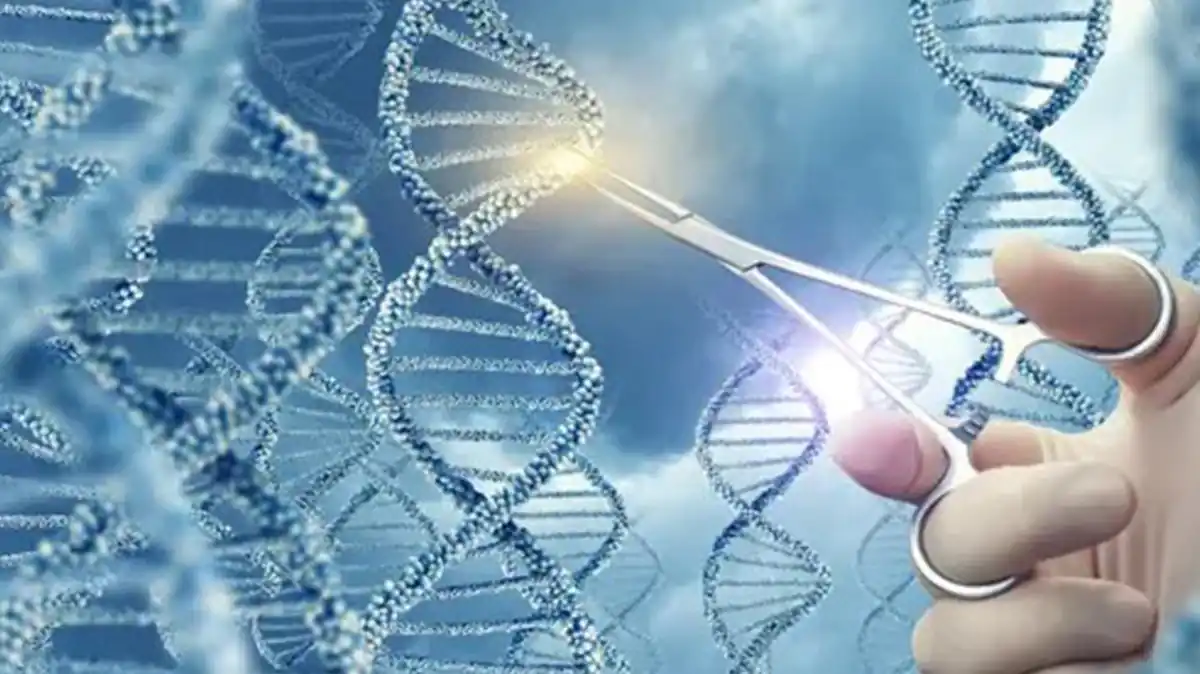 Penyakit yang Bisa Di deteksi tes DNA